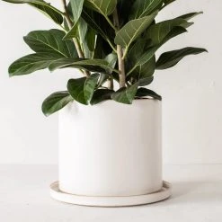 Convivial Minimal Stoneware Planter