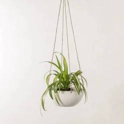 Convivial Minimal Stoneware Hanging Planter New Arrivals