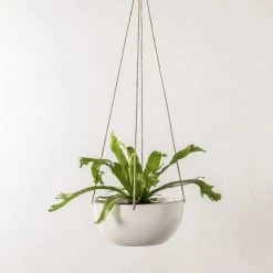 Convivial Minimal Stoneware Hanging Planter New Arrivals