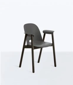 Emeco Furniture Alfi Recycled Armchair - Dark Ash