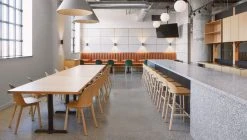 Emeco Furniture Alfi Recycled High Back Chair - Ash