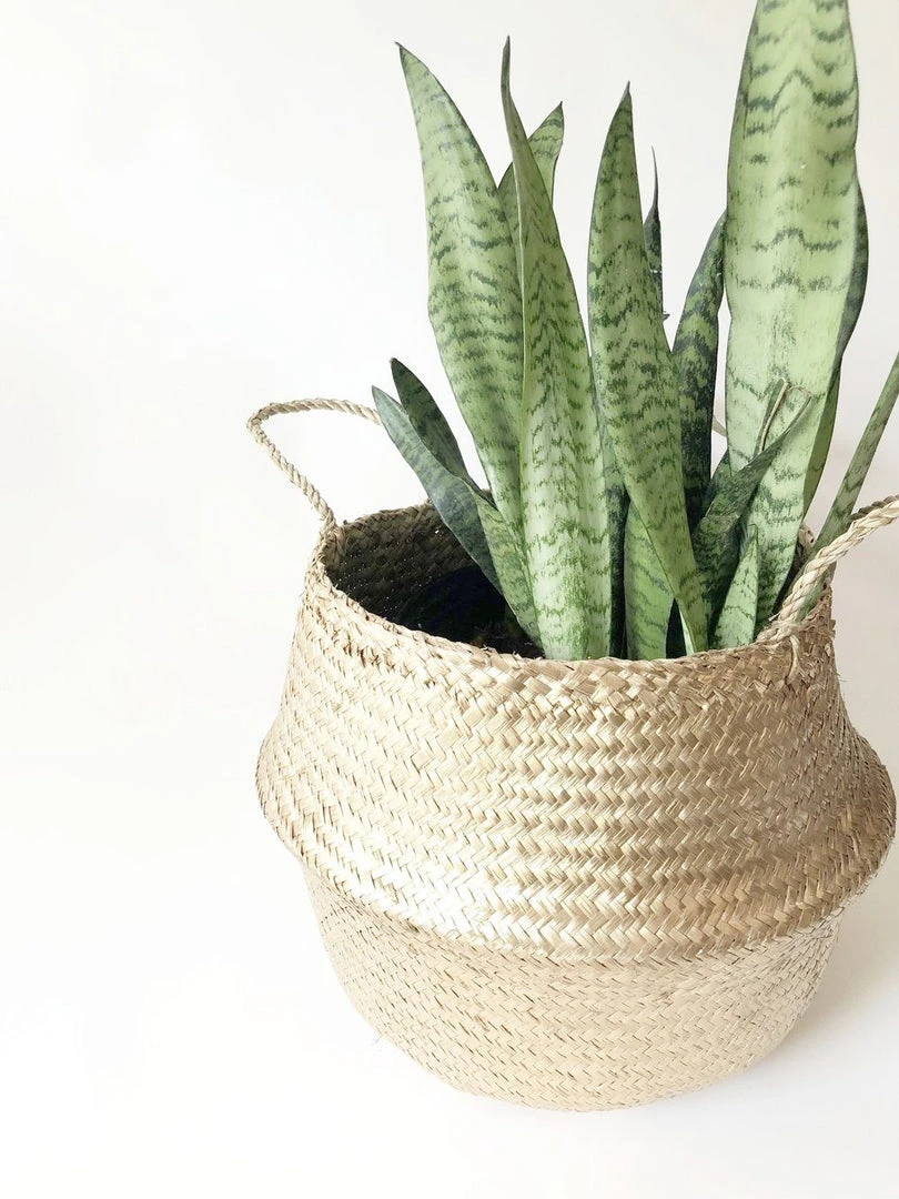 Amante Marketplace Kophinos Basket - Gold 3 Amante Marketplace Kophinos Basket - Gold