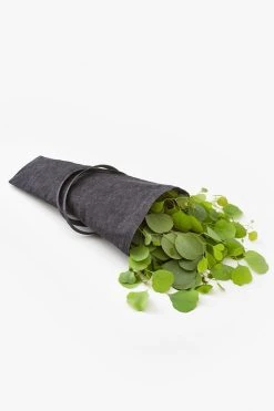 Aplat Jardin Zero Waste Flower Tote Storage