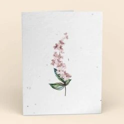 Cute Root Greeting Cards Assorted Botanical Plantable Cards - 8 Pack 16 Cute Root Greeting Cards Assorted Botanical Plantable Cards - 8 Pack