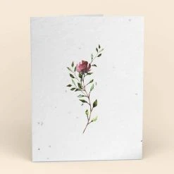 Cute Root Greeting Cards Assorted Botanical Plantable Cards - 8 Pack 18 Cute Root Greeting Cards Assorted Botanical Plantable Cards - 8 Pack