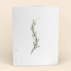 Cute Root Greeting Cards Assorted Botanical Plantable Cards - 8 Pack 17 Cute Root Greeting Cards Assorted Botanical Plantable Cards - 8 Pack