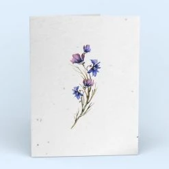 Cute Root Greeting Cards Assorted Botanical Plantable Cards - 8 Pack 23 Cute Root Greeting Cards Assorted Botanical Plantable Cards - 8 Pack