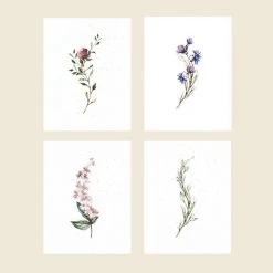 Cute Root Greeting Cards Assorted Botanical Plantable Cards - 8 Pack