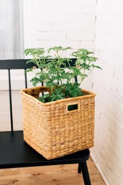 Azizi Life Banana Twine Cube Home Goods