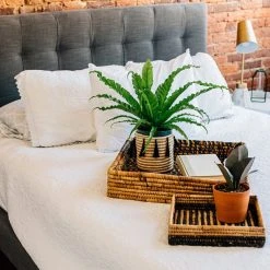 Azizi Life Parker Banana Leaf Trays