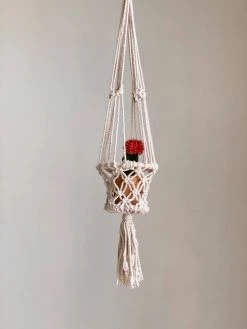 Ceremonia Best Sellers Plant Hanger Basket - Cream 11 Ceremonia Best Sellers Plant Hanger Basket - Cream