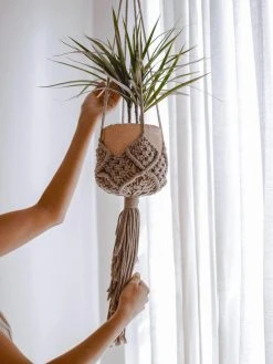 Ceremonia Darling Macramé Plant Hanger - Cafecito