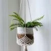 Ceremonia Darling Macramé Plant Hanger - Cream Best Sellers 2 Ceremonia Darling Macramé Plant Hanger - Cream Best Sellers