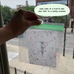 Cute Root You're So Deer To Me Plantable Cards - 10 Pack Greeting Cards