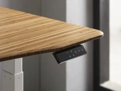 Greenington Desks Ascent Hi-Low Standing Desk