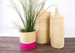 KAZI Fuschia Planter 8 KAZI Fuschia Planter