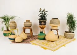 KAZI Medium Natural Grass Bud Vase Home Goods