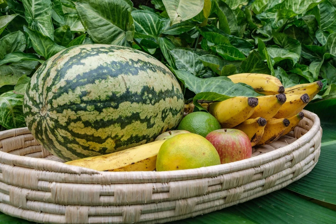 KAZI Natural Raffia Patterned Oval Tray Home Goods 4 KAZI Natural Raffia Patterned Oval Tray Home Goods