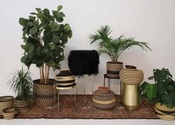 KAZI Striped Black Grass Pot 8 KAZI Striped Black Grass Pot