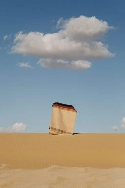 Kiliim Oasis Wool Runner / Rug Home Goods