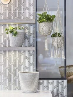 Korissa Agora Bin Set