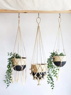 Korissa Shuly Plant Hanger 8 Korissa Shuly Plant Hanger
