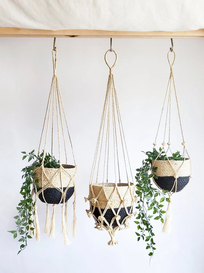 Korissa Shuly Plant Hanger 4 Korissa Shuly Plant Hanger