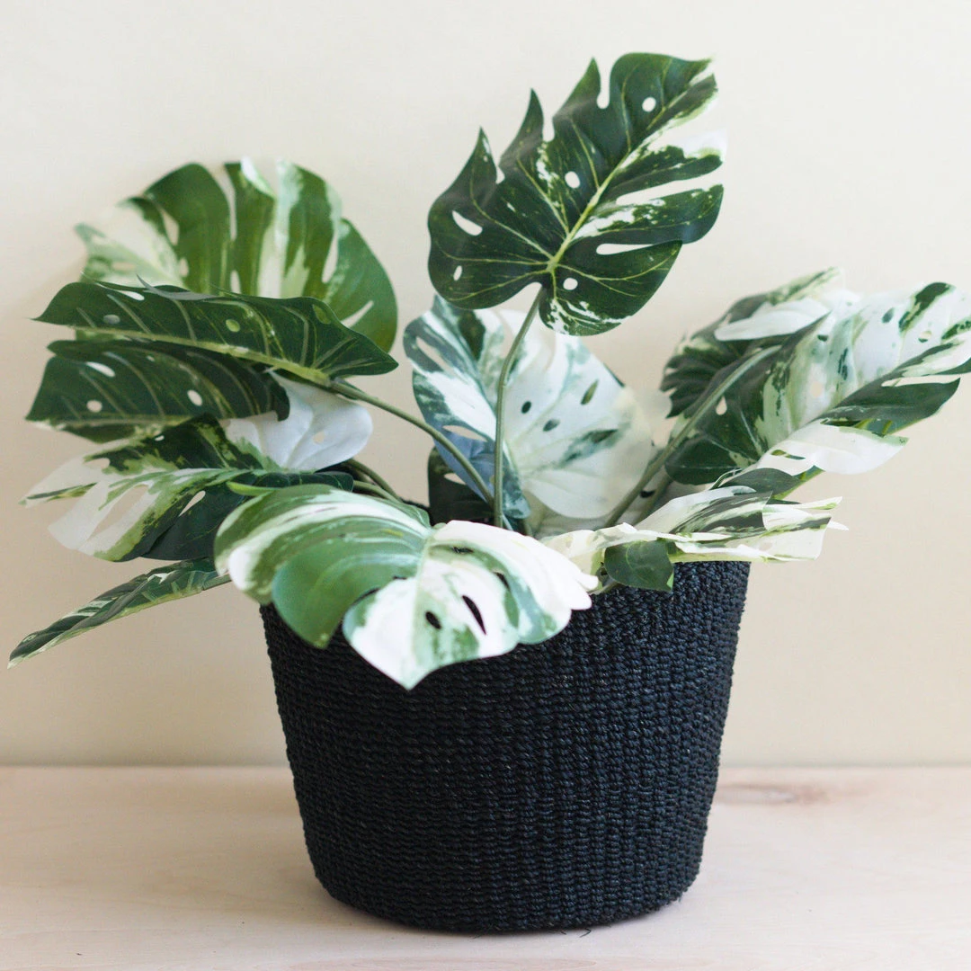 LIKHÂ Black Scallop Basket Home Goods 5 LIKHÂ Black Scallop Basket Home Goods