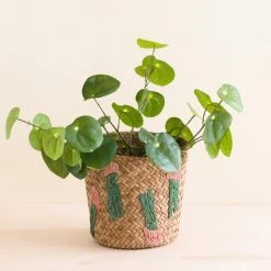LIKHÂ Home Goods Cactus Embroidery Basket