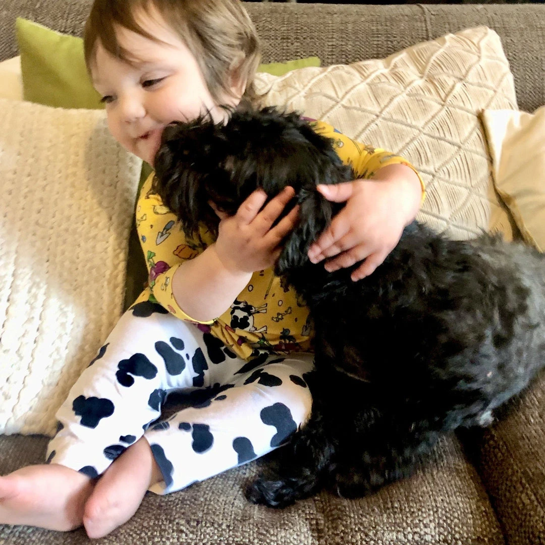 Lucky Bug Clothing Kids' + Baby Baby's Essential Bamboo Stretch Cow Play Pants 4 Lucky Bug Clothing Kids' + Baby Baby's Essential Bamboo Stretch Cow Play Pants