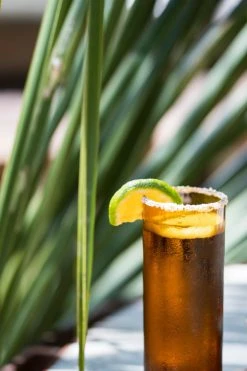 Magda Made Kitchen + Dining Tall Recycled Glass Set 12 Magda Made Kitchen + Dining Tall Recycled Glass Set