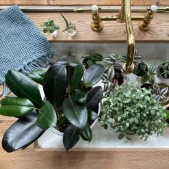 Amante Marketplace Meraki Turkish Hand Towel