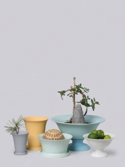 Middle Kingdom Planters + Vases Porcelain Bulb Pan 10 Middle Kingdom Planters + Vases Porcelain Bulb Pan