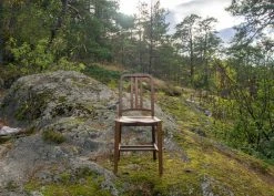 Emeco Navy Wood Chair