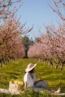 Caminito Best Sellers Palma Canasta Chica Bag