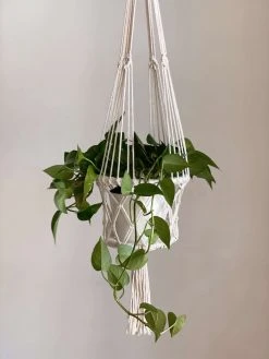 Ceremonia Best Sellers Plant Hanger Basket - Cream