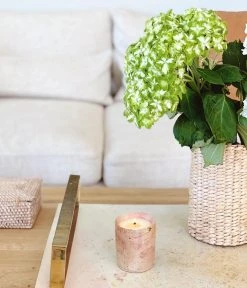 Rose & Fitzgerald Best Sellers Soapstone Candle - Guava + Mediterranean Fig 13 Rose & Fitzgerald Best Sellers Soapstone Candle - Guava + Mediterranean Fig