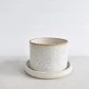Katie Mudd Simple White Stoneware Planter Set Best Sellers
