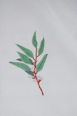 Soil To Studio Best Sellers Amara Linen Curtain Panel 13 Soil To Studio Best Sellers Amara Linen Curtain Panel