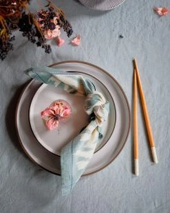 Soil To Studio Pari Ikat Napkin Set