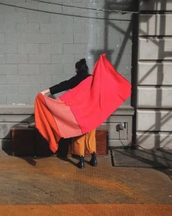 Soil To Studio Accessories Vandana Color Blocked Merino Scarf