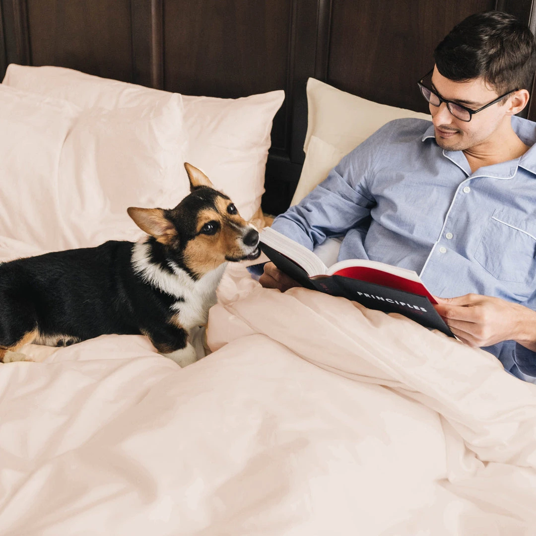 Eucalypso Best Sellers Tencel Eucalyptus Duvet Cover 6 Eucalypso Best Sellers Tencel Eucalyptus Duvet Cover