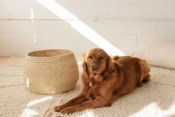 Territory Design Jarrito Large Basket