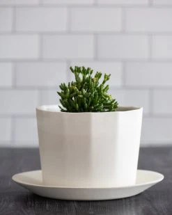 The Bright Angle Home Goods Native Porcelain Planter - Mica Black 9 The Bright Angle Home Goods Native Porcelain Planter - Mica Black