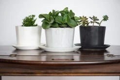 The Bright Angle Native Porcelain Planter - Smoke Gray Home Goods