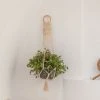 Village Thrive Flora Wall Plant Hanger