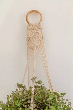 Village Thrive Flora Wall Plant Hanger